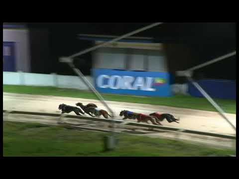 Lassies Gift - Coral Brighton Belle - 2nd Semi-Final