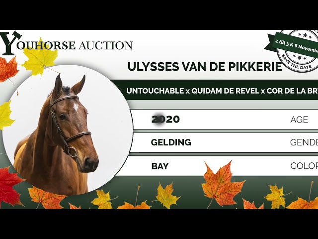 Ulysses van de Pikkerie