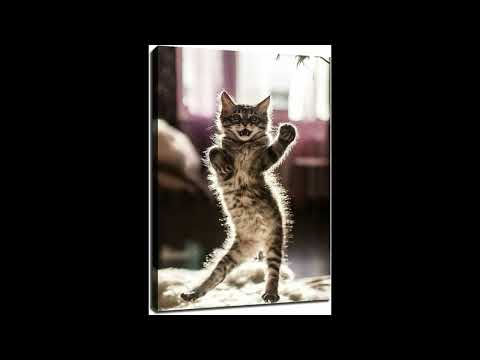 Adamstan84 - Quick'n'dirty Italo Disco Jam - Yoko Oginome _Dancing Hero_ _ Angie Gold _Eat you up_