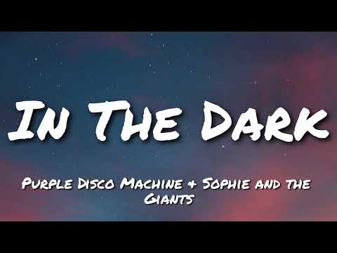 Purple Disco Machine & Sophie and the Giants - In The Dark (Lyrics)