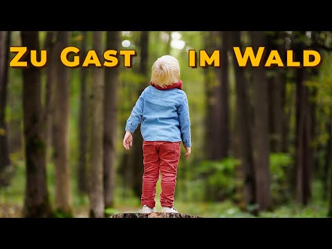 The Forest Etiquette: Rules of conduct for your stay in the forest!