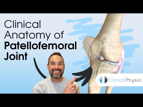 Clinical Anatomy of Patellofemoral Joint | Expert Physio Guide