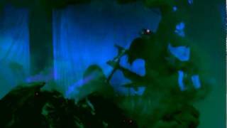 IS TROPICAL - Seasick Mutiny [2010]