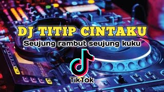 Download lagu DJ TITIP CINTAKU (Seujung rambut seujung kuku)    #titipcintaku #djtitipcintaku #djviral2022 mp3