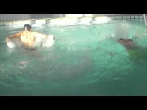 Gamzigradska banja butterfly swimming