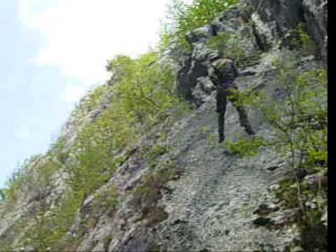 Cipri Rapel In Cheile Ribicioara