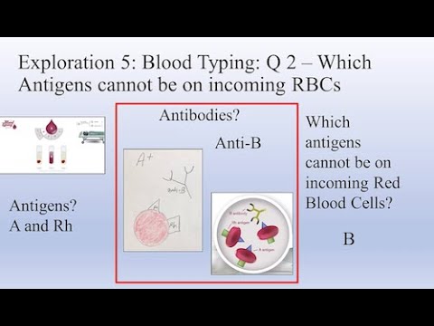 NSTA STEM Forum 2020 Trailer Dr. Drew