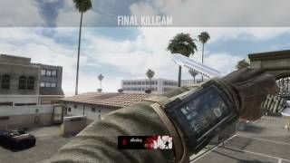lefty