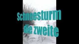 preview picture of video 'Schneesturm auf Rügen mit Tief Keziban (überarbeitet)'