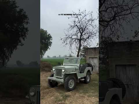 Nimrat 🌸 #views #jeep #musicshorts #offroad #likeandsubscribe #top