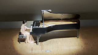 春よ来い～花は咲く