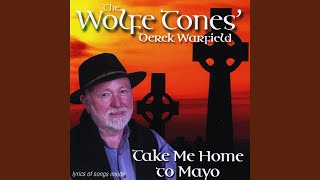 Go On Home British Soldiers