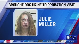 Pineville woman arrested after bringing dog urine to probation drug test