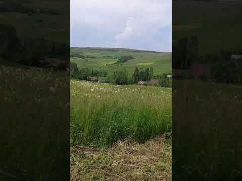 Salut ghirolt prima parte