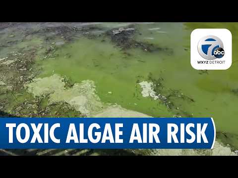 Toxic Algae at Michigan Lakes May Harm Air Quality