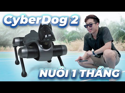 Chó thông minh Xiaomi CyberDog 2 | Trí tuệ nhân tạo, siêu cảm biến & bộ cơ khí động lực truyền động CyberGear
