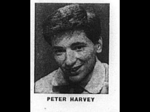 Peter Harvey    Heart Of Ice