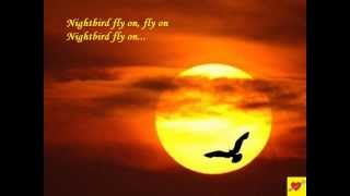 Nightbird Music Video
