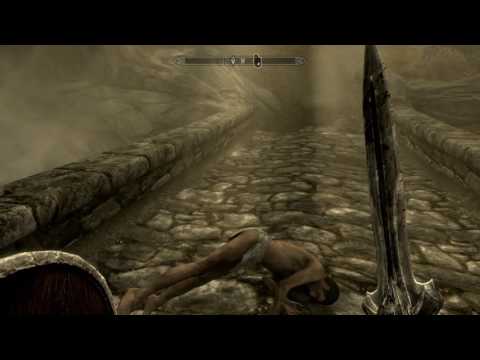 Escorting Telrav to his camp in skyrim