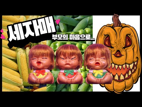 보드게임 세자매 하는법&설명 입니다