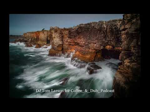 DJ Tom Larson for Coffee & Dub Podcast
