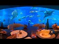 Fine Dining At Ocean Restaurant