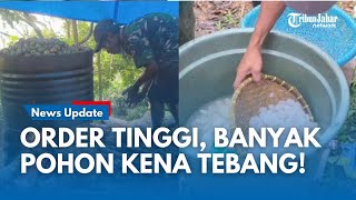 Download lagu Kolang Kaling Langka! Cerita Manis Buat Buka Puasa Tapi Pahit Bagi Produsen: Banyak Pohon Ditebang mp3
