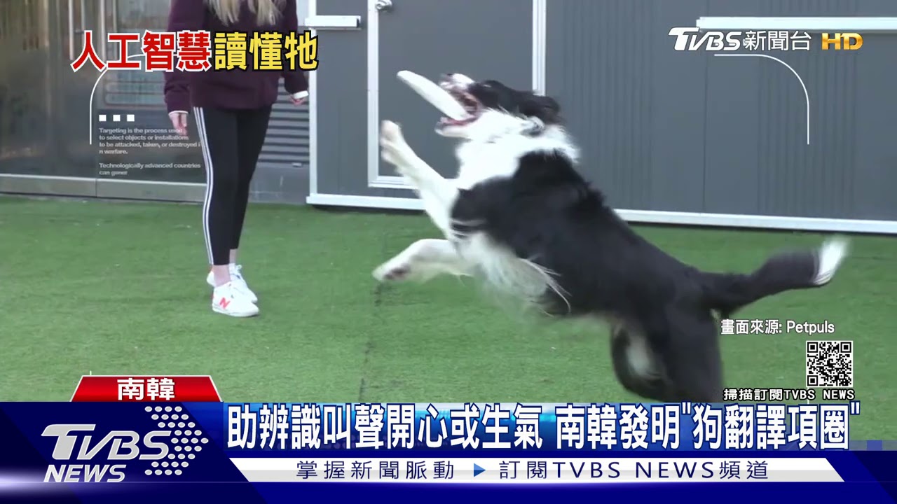 助辨識叫聲開心或生氣　南韓發明「狗翻譯項圈」