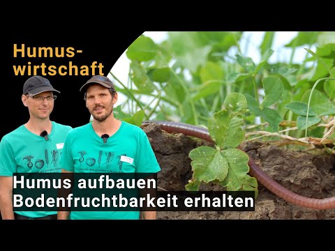 Humus management: building humus – maintaining soil fertility