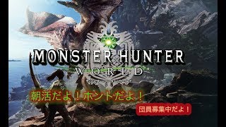 [MHW]プログラマーなめたけの一狩りしようぜ！