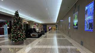 [⚠️NSFW⚠️] Matt Rogers - Suck On My Cock (but it&#39;s playing in an empty mall)