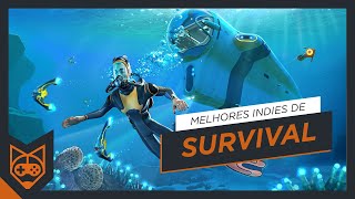 Os 5 melhores jogos indie de sobrevivência