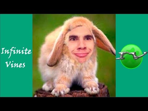 Ultimate Christian Delgrosso Vines Compilation And Instagram Videos