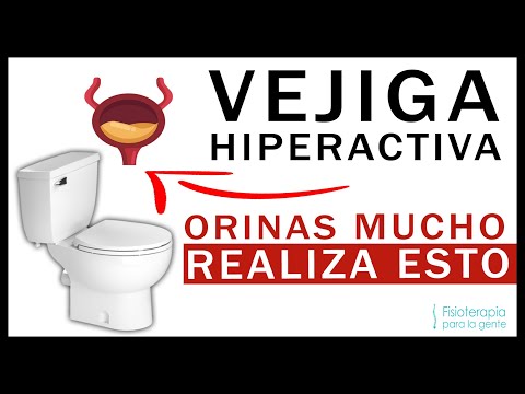 Vejiga Hiperactiva 🚽 TODO LO QUE DEBES HACER