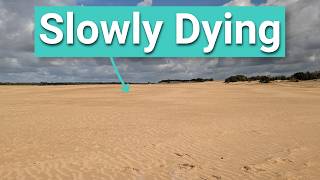 How the Netherlands Accidentally Created a Desert