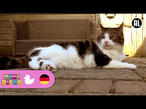 Wo Ist Die Katze? | Deutsche Kinderlieder | Kindergarten Songs | Minidisco 
