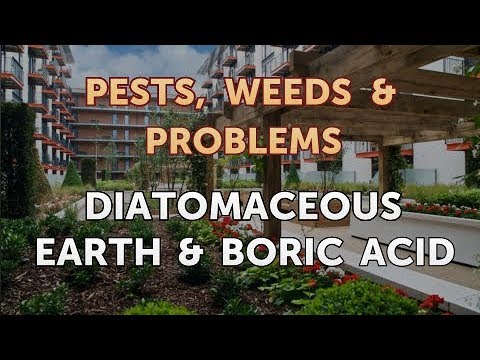 download lagu mp3 mp4 Boric Acid Diatomaceous Earth, download lagu Boric Acid Diatomaceous Earth gratis, unduh video klip Boric Acid Diatomaceous Earth