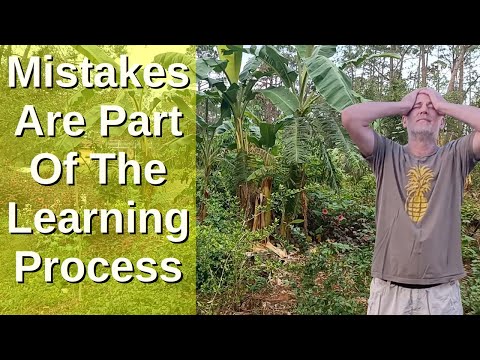 Top 3 Mistakes I've Made in My Permaculture Food Forest Garden