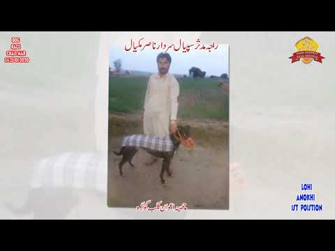 Dog Race 1st position Anokhi chena awan club golra