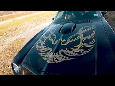 1976 Pontiac Firebird Trans Am (CC-1390373) for sale in Malone, New York