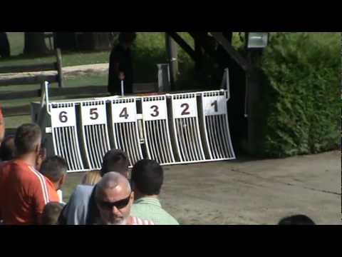 European Derby Invitation 2012 - Primo Jpy