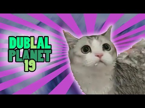 download lagu mp3 mp4 Saporetti, download lagu Saporetti gratis, unduh video klip Saporetti