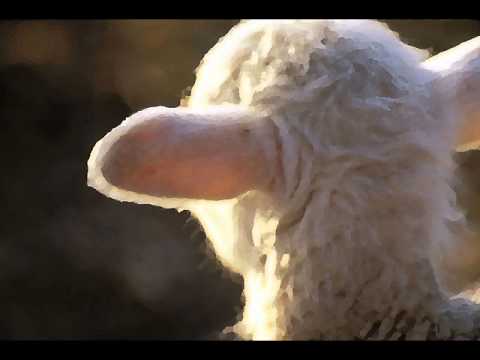 El Gibor v'El Elyon by Karen Davis (w/ lyrics+translation)