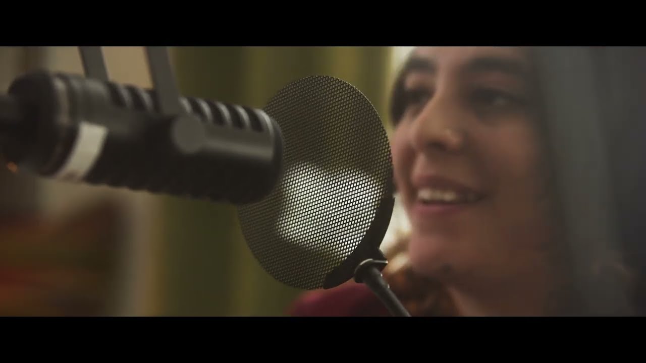 Microphone Pop Filters For Recording, Broadcast & Podcast Studios | Stedman