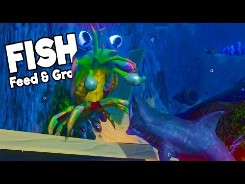 GIANT MANTIS SHRIMP KILLS AND EATS GREAT WHITE SHARK! - Feed and Grow Fish Gameplay Highlights