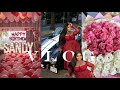 VLOG We Re Back Birthday Shoot Surprise Birthday Store Opening Self Care