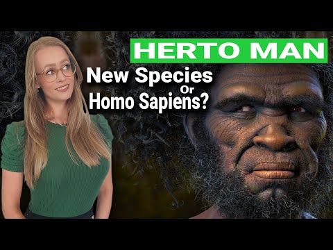 Homo Sapiens Idaltu, New Species Or Homo sapiens? Herto Man