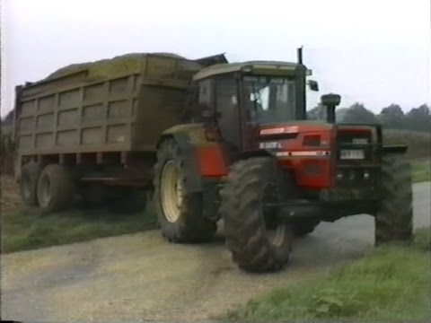 Loonw. De Rauw - Wieze