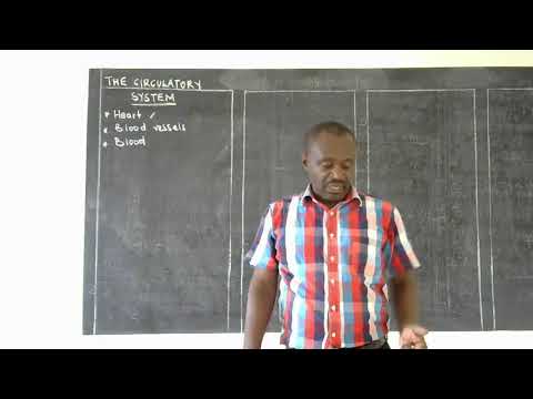 P6 INTEGRATED SCIENCE LESSON ONE