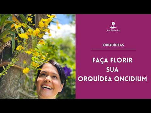 , title : 'ORQUÍDEAS: Como plantar e cultivar a Orquídea Chuva de Ouro (Oncidium)'